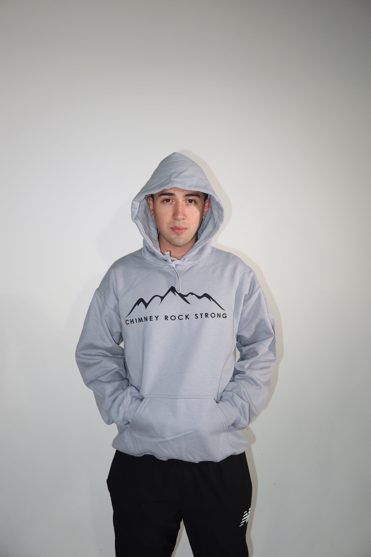 The Best View Inn Gray Hoodie Unisex