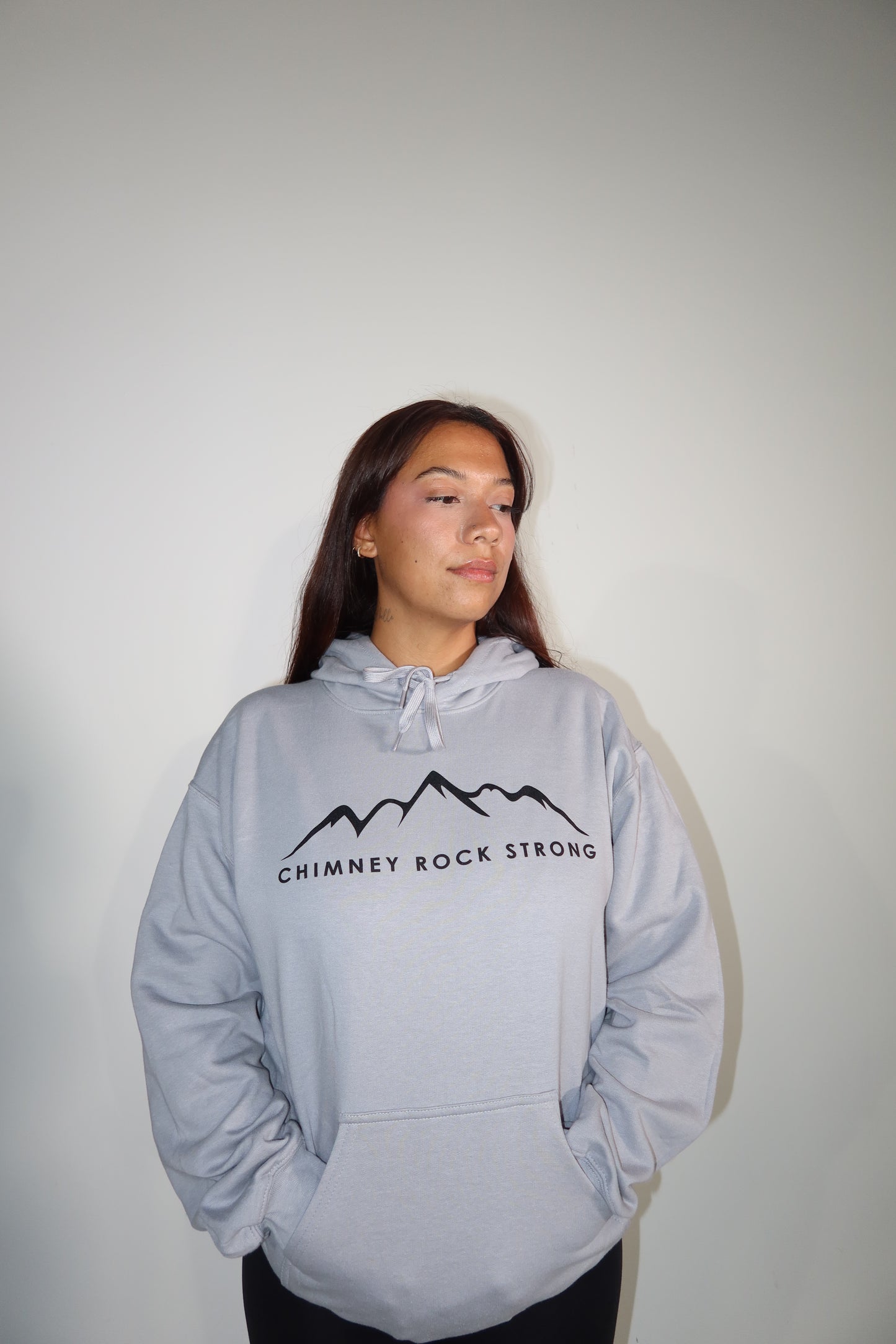 The Best View Inn Gray Hoodie Unisex